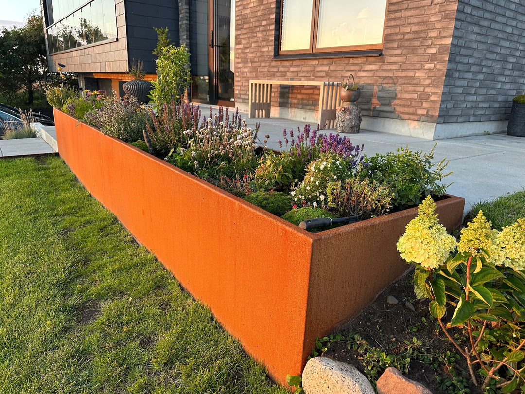 Skap liv med blomster som tiltrekker sommerfugler | Stålhagen