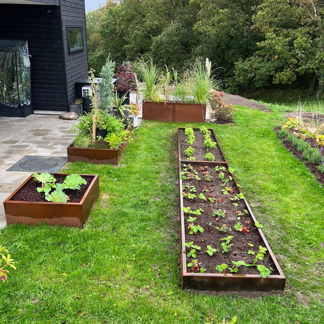 Plantekasse, lav modell, 30 cm høy