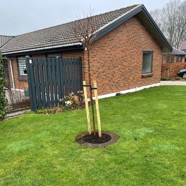 Spesialmål: Robotsirkel i cortenstål