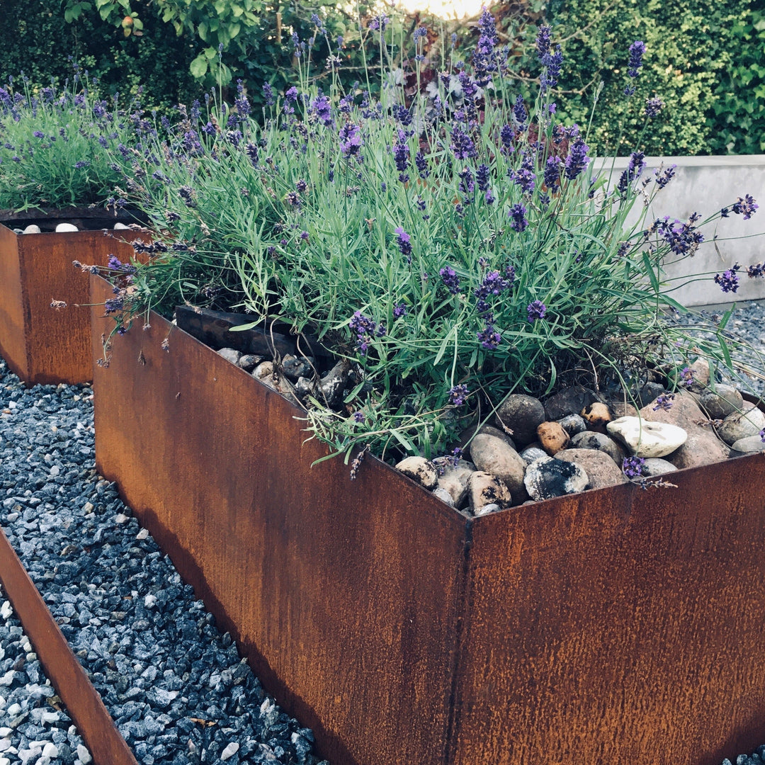 Plantekasse klassisk modell 50 cm bred og 50 cm høy