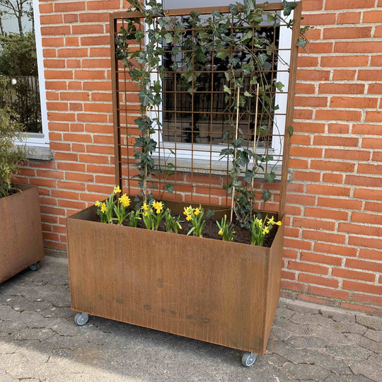 Plantekasse med espalier