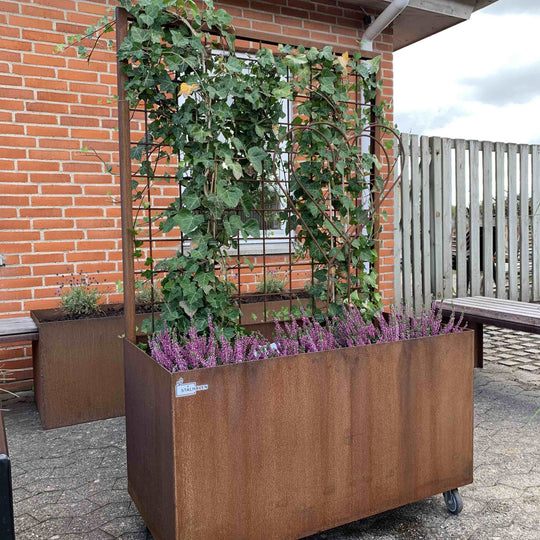 Plantekasse med espalier