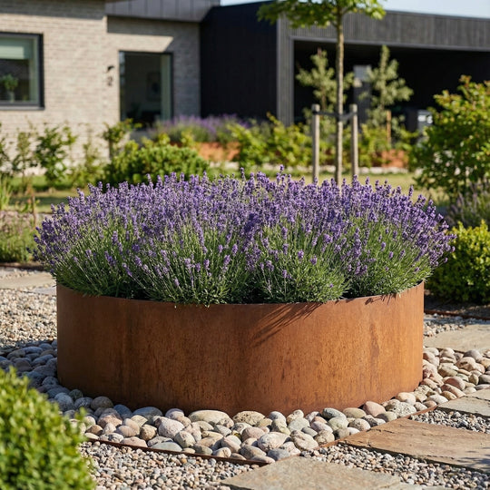 Bedsirkel i 3 mm cortenstål – høy og stor modell