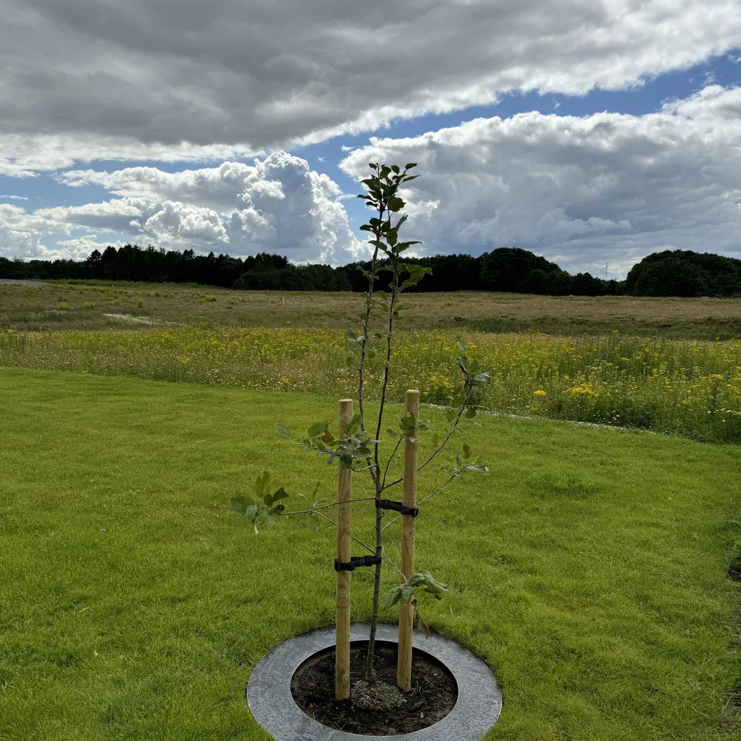 Spesialmål: Robotsirkel i cortenstål