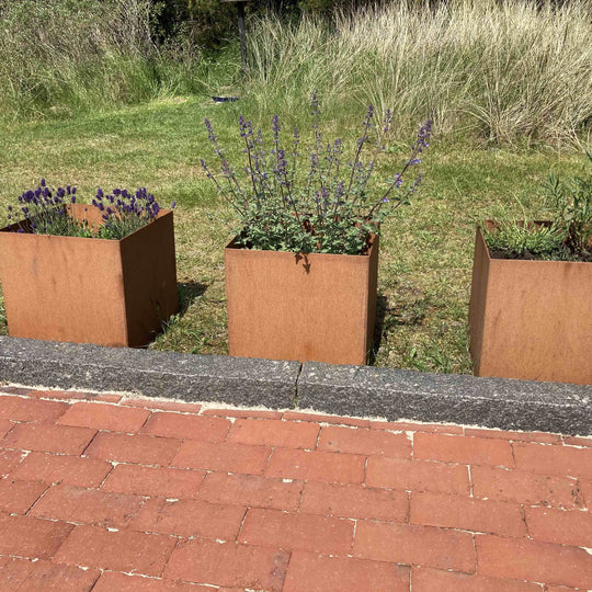 Plantekasse, kvadratisk modell