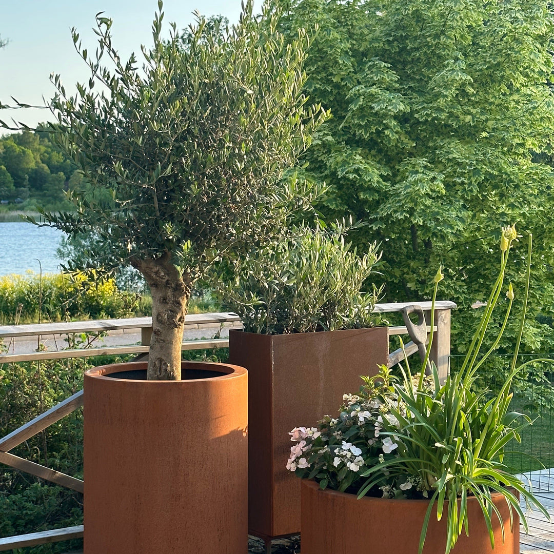 Spesialmål: Runde plantekasser med bunn